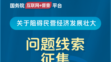 A艹艹艹国务院“互联网+督查”平台公开征集阻碍民营经济发展壮大问题线索